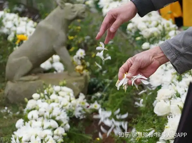 化作春泥更护花 桂林市花坛葬将于9月举办 知乎
