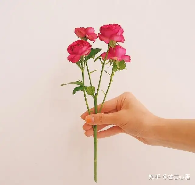 2021端午节祝福语，简短温馨，节日快乐！