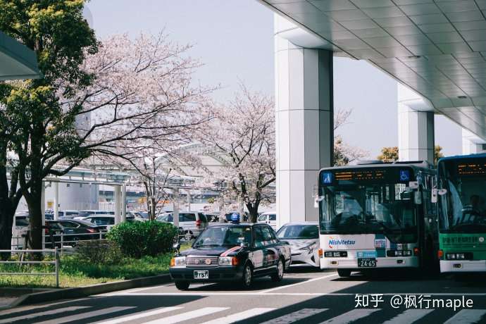 日本九州 闲逛小城 偶遇一场樱花雨 知乎