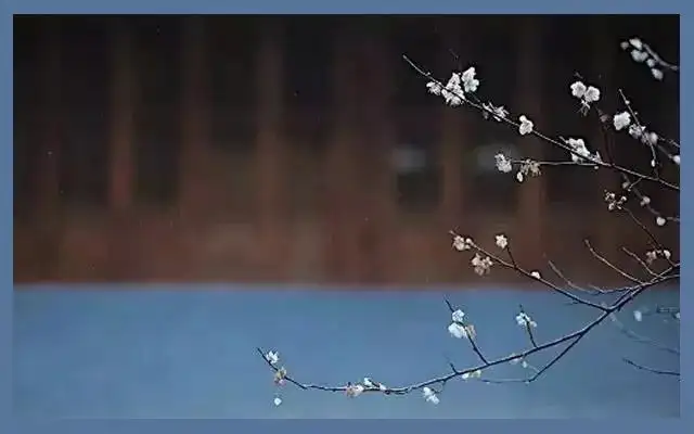 香事 一炉梅花香中 感受春意萌生 知乎