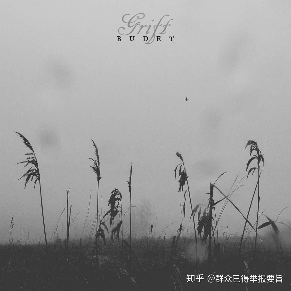 年其他专辑总结 知乎