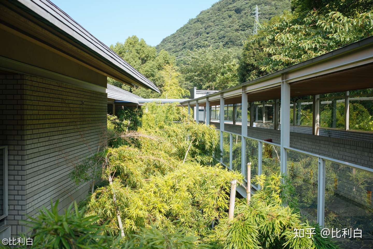 盛夏的温泉滞在 界 箱根 知乎