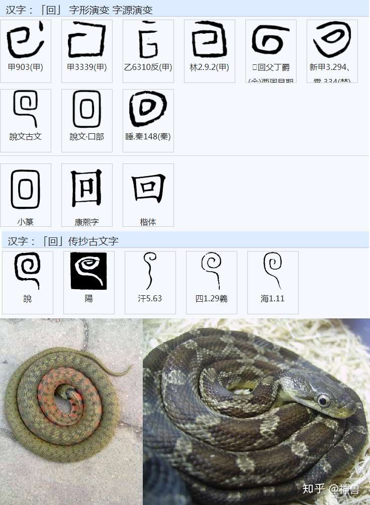 千年一轮回 知乎