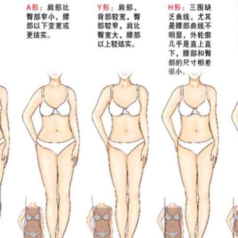 体型 知乎
