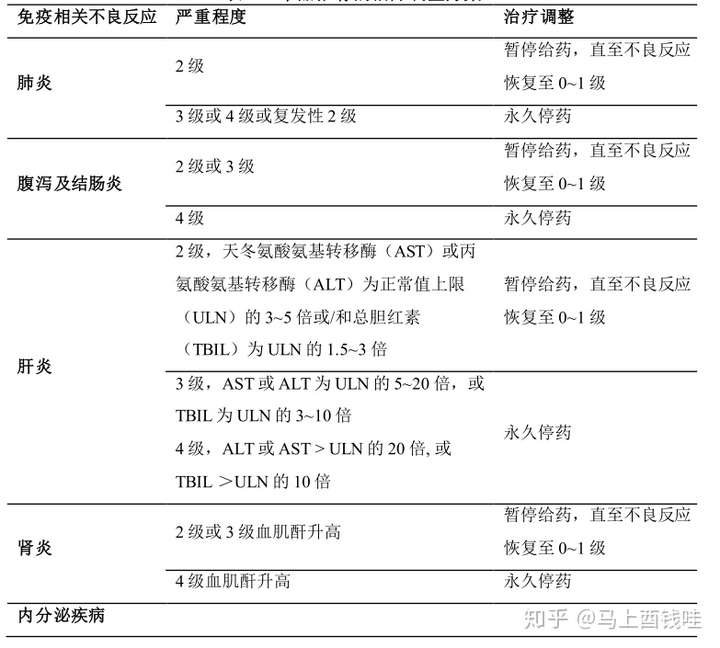 百泽安替雷利珠单抗注射液10ml100mg