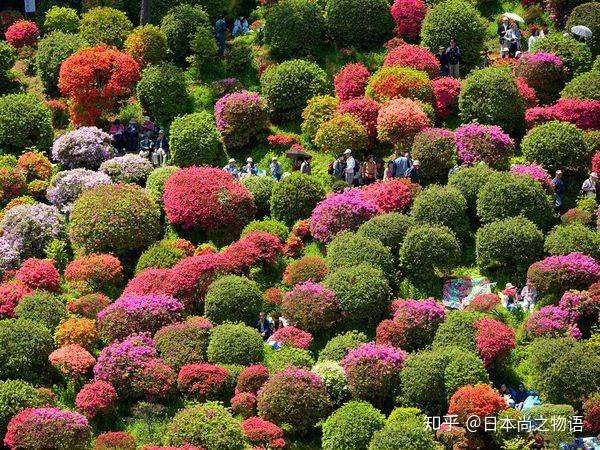 行走日本 日本印象 知乎