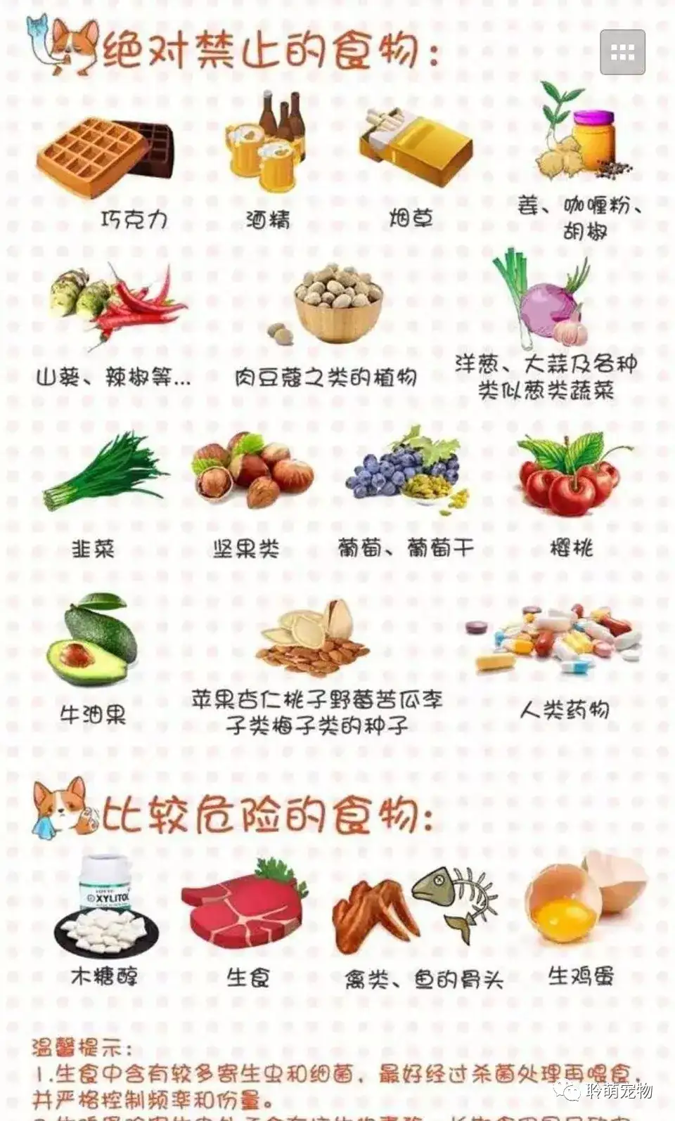 猫不能吃盐 不敢置信的表情 知乎