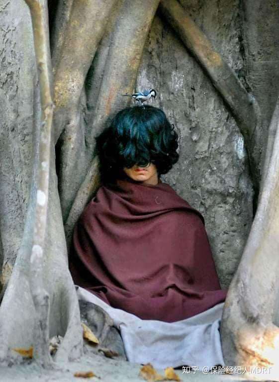 灵修少年巴登多杰菩提树下打坐六年不吃不喝六年后开悟出定开始弘法