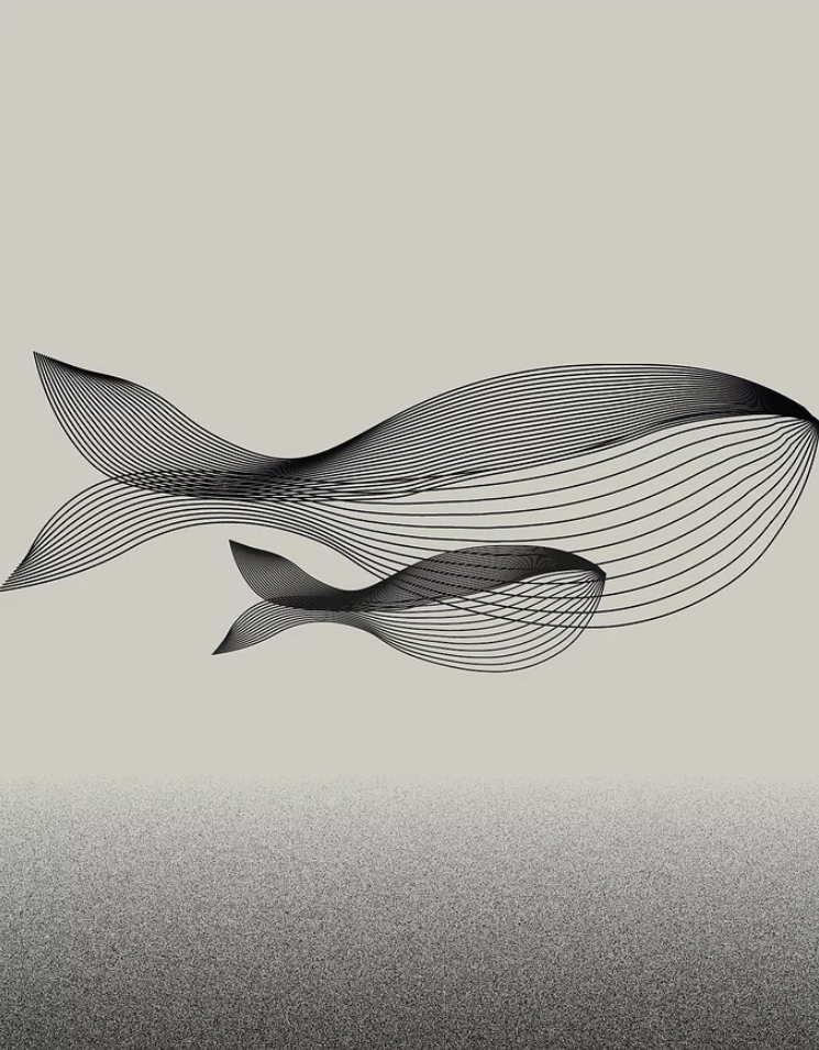 闫凯 的想法: 线构成创意设计呈现!#平面设计# #视觉设… - 知乎