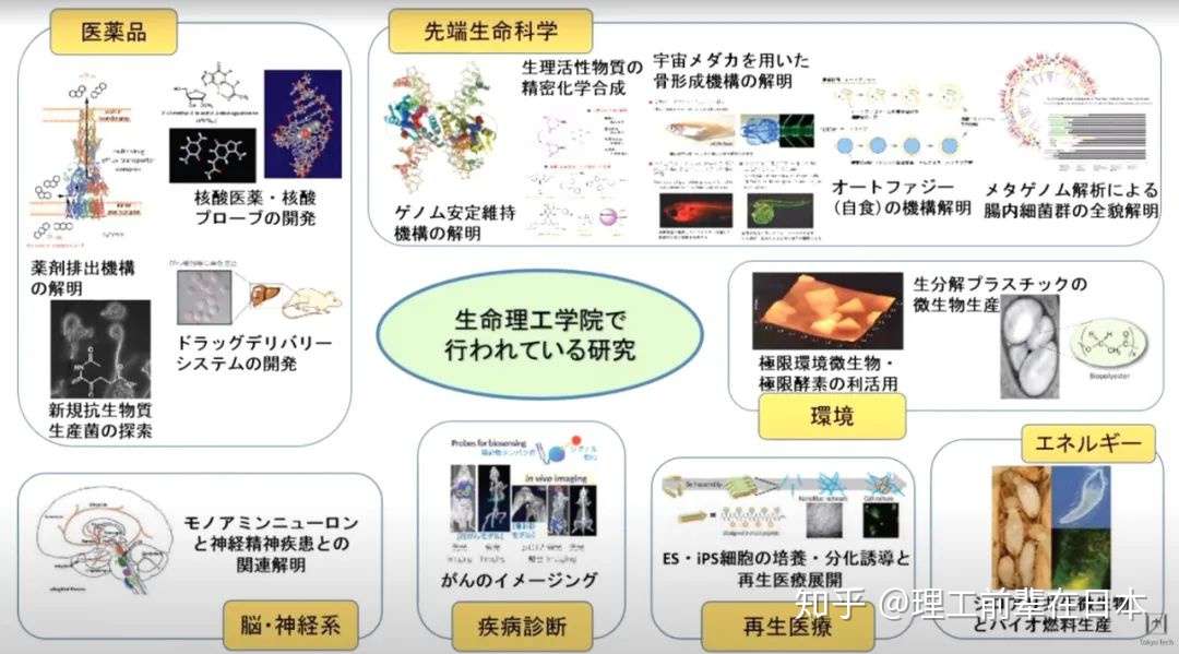 新领域合格访谈实录3 一鼓作气 不留后路 零基础的我最终合格东京工业大学生命理工学院 知乎