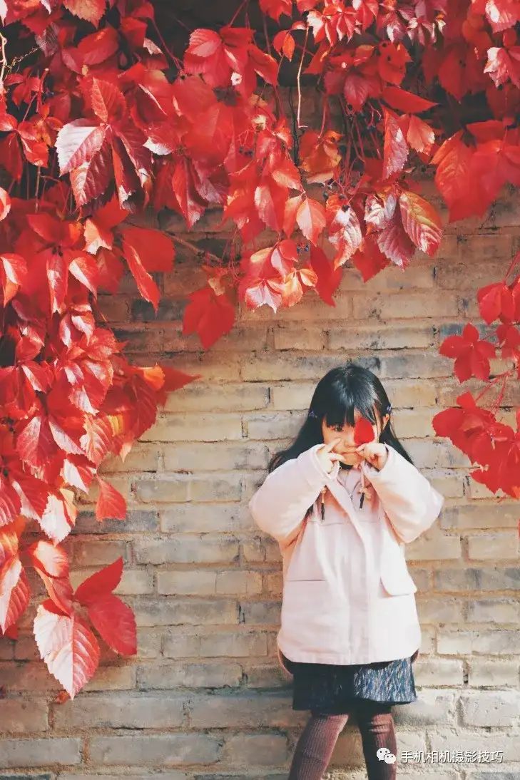 秋日拍照攻略 如何 优雅 的与红叶合影 知乎