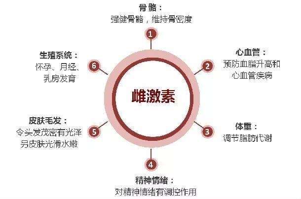 女性雌性激素过高有什么影响?插图 v2-5d172fd7639582cca4cc5121e106112a_720w.jpg插图