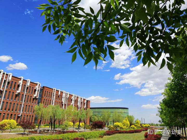 大连理工大学盘锦校区有何优缺点?