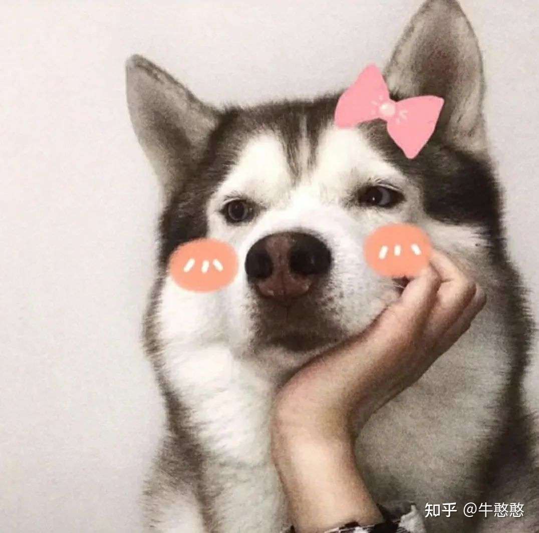 南京航空航天大学金城学院本科助学班是不是坑人 知乎