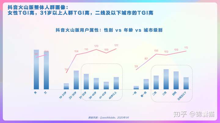 2020抖音用户画像分析