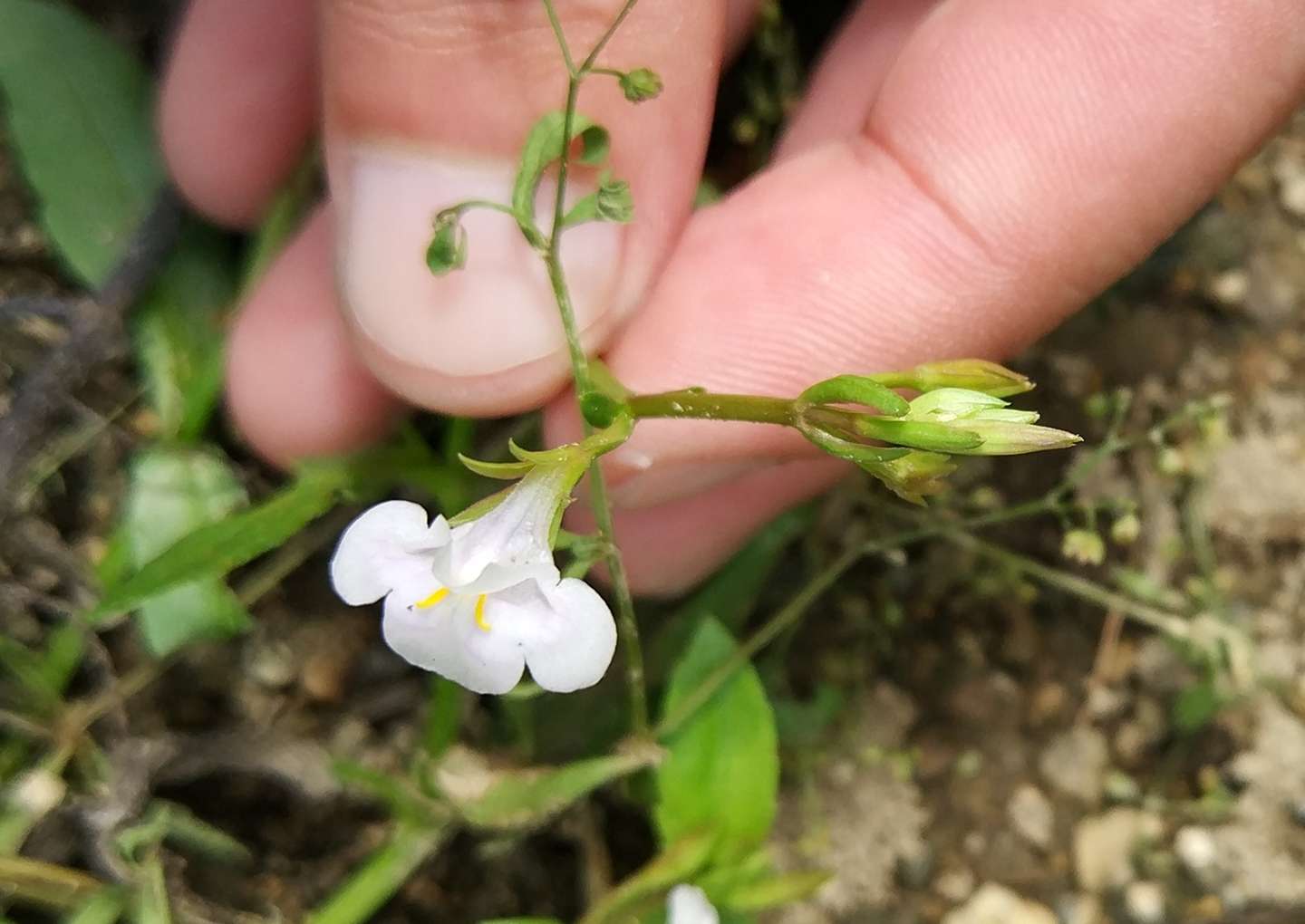 自然 足迹 吴越古道秋季篇 下 知乎