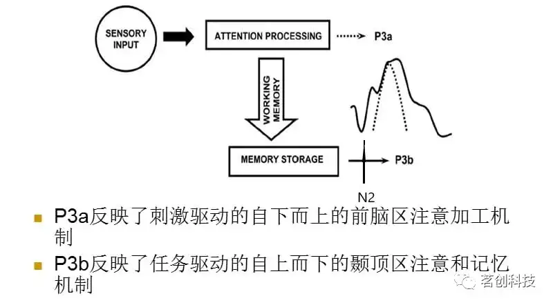 经典再读| 认知控制和失匹配对N2成分的影响- 知乎