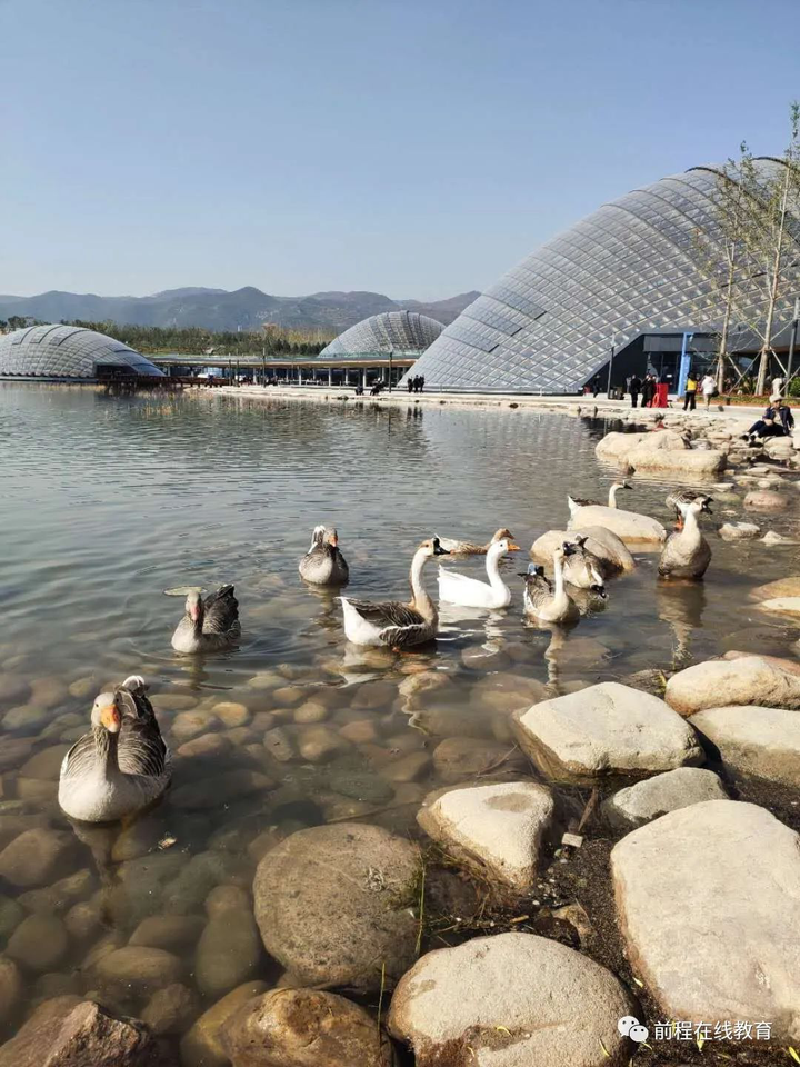 太原植物園 現在已經成為了新晉打卡聖地 爆火的網紅超長電梯 幽密