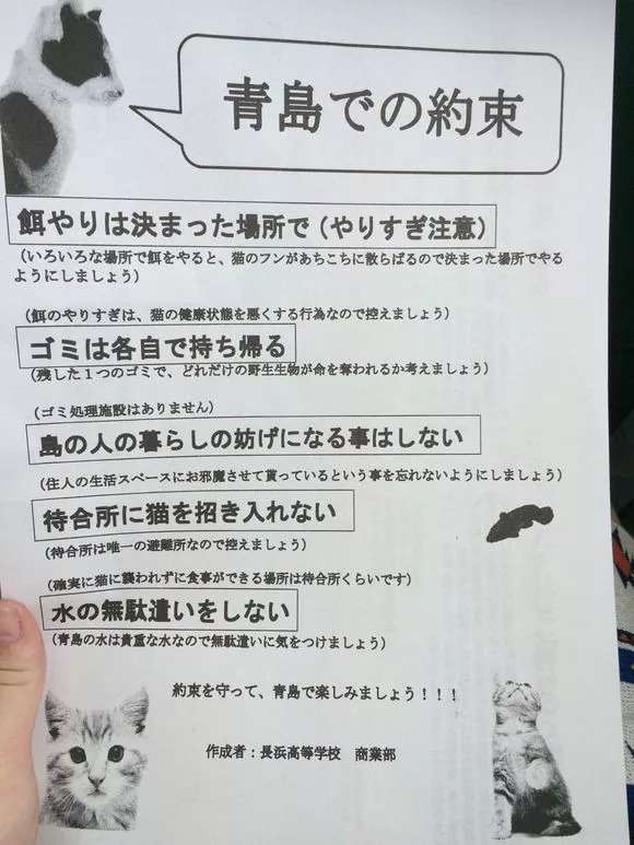 日本猫岛最全攻略：工作那么苦，我只想沉浸在喵星人的世界！ - 知乎