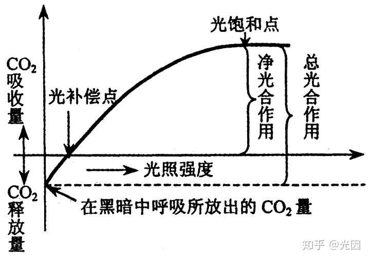 光饱和点图图片