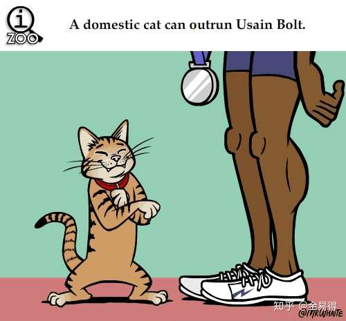 太有趣了 你知道这24个动物冷知识吗 知乎