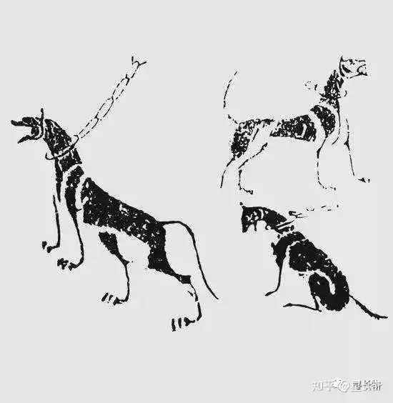 犬入丹青 古画中的狗 知乎