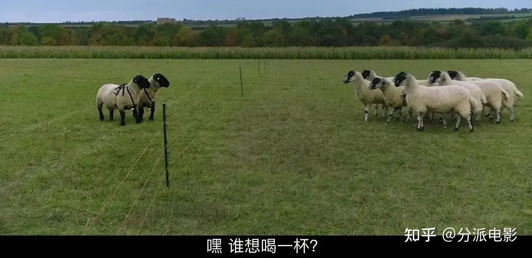 《克拉克森的农场第四季》豆瓣9.6,终于等来了这部年度佳作!