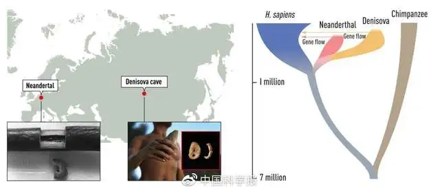 2023年诺贝尔生理学或医学奖揭晓（诺贝尔医学奖或生理学奖） 第3张