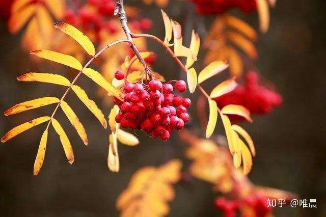 远香近臭保护感情的方法有所保留