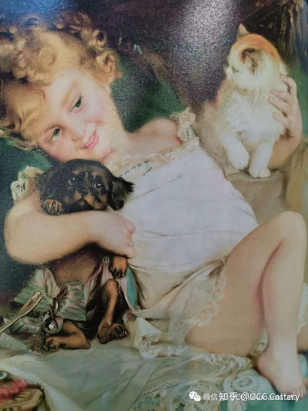 世界名画里的那些猫事_解读画作的奥秘喵~ - 知乎