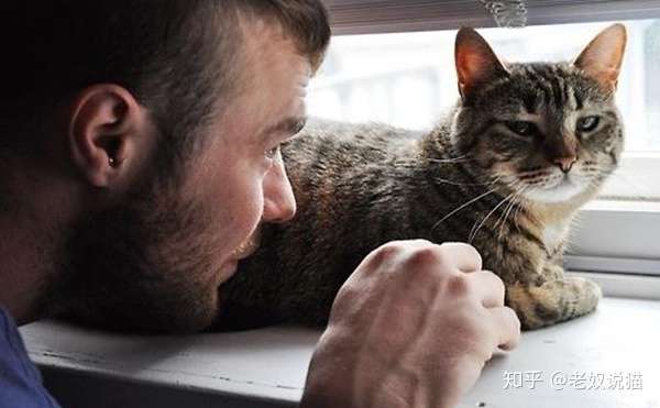 男朋友经常的打猫我怎么办 知乎