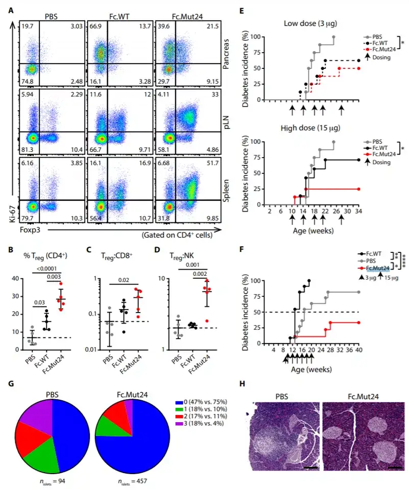 Science 子刊安进合作开发的改良版il 2疗效显著 高剂量组75 小鼠保持 无病 知乎