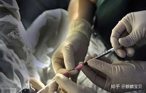 国内首例是试管婴儿,如今怎么样了?插图(2) v2-625f8a976a5fe182445e212a191ae362_720w.jpg插图(2)