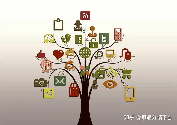 shopify店铺 推广（shopify独立站是什么意思）Shopify独立站要怎么推广？Shopify推广有什么推广方法？，干货分享，