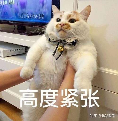 9 12月完整雅思口语题库话题卡pdf可打印 P1 P2 P3 知乎