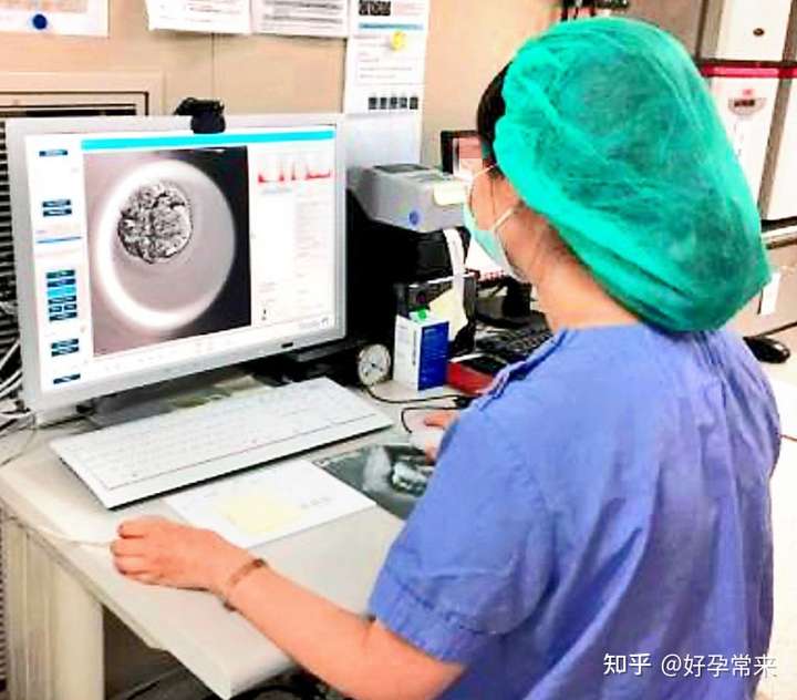 成都供卵机构有哪些（试管婴儿流程步骤？）