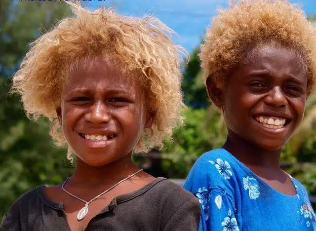 草民看历史:黑棕黄白,各色人种的渊源(一) | 茶茶网