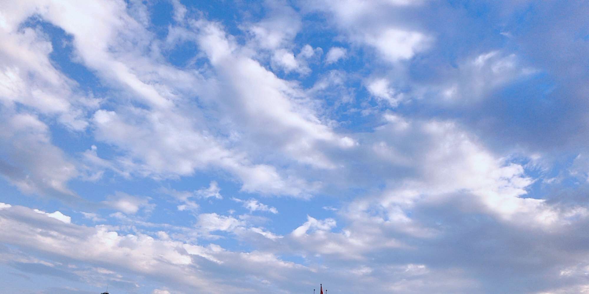 她的人鲸鱼有海微博@林蓠lynn,作品《此心安处是淮安》《白昼边界》等