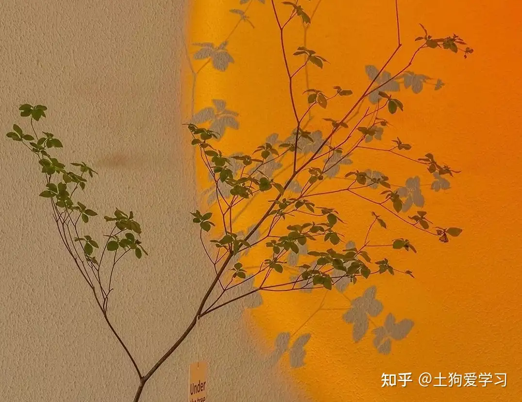 土狗英语语录 英文版 物以类聚 人以群分 咋翻译 来看大佬翻译 知乎