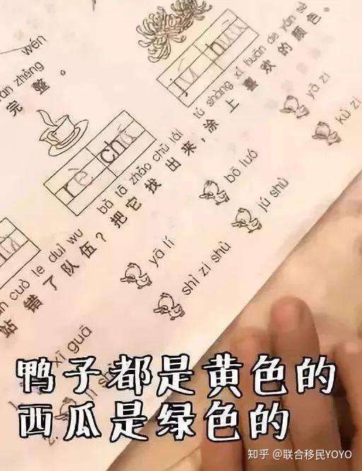 这些 有毒 的小学生作业 到底有多奇葩 知乎