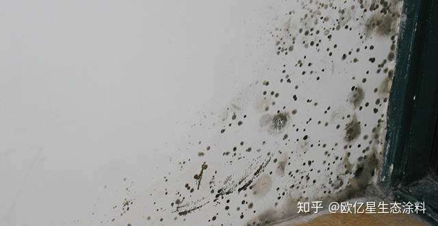 无机涂料和有机涂料在各方面的优缺点