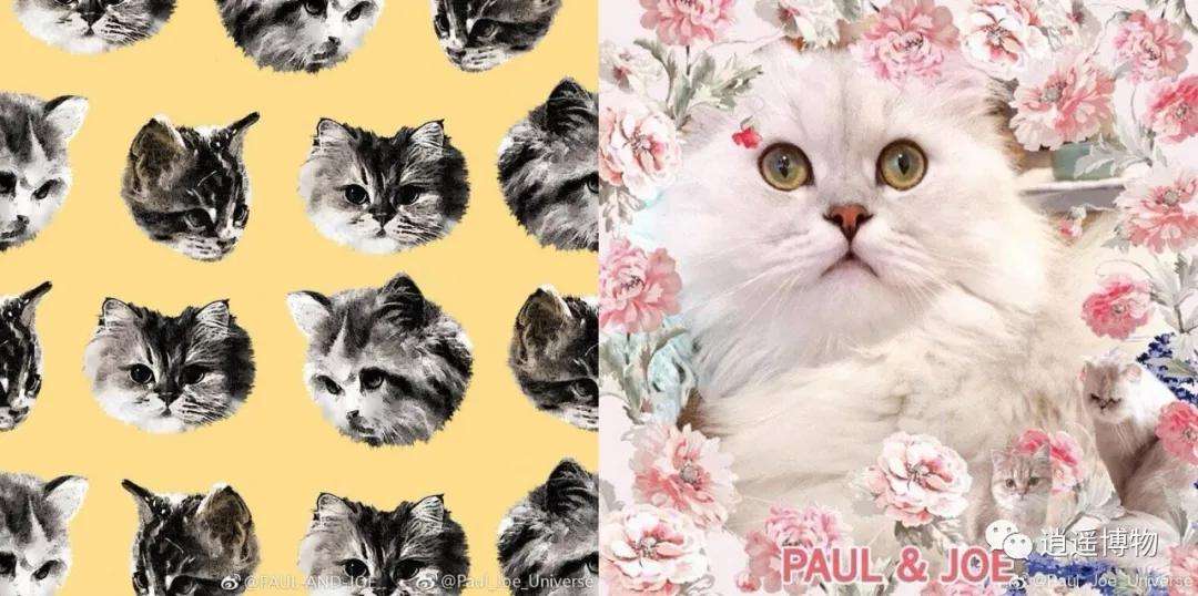 50 Paul Joe 猫 壁紙 無料の画像を持つイラスト