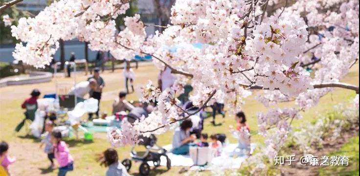 関東の人気お花見スポットランキング 最美不过秒速五厘米 知乎