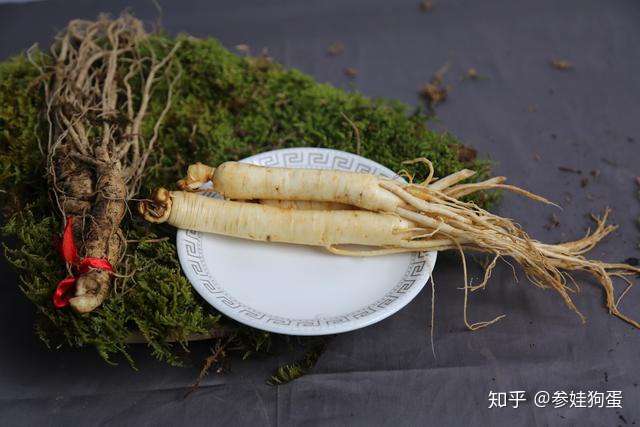 鲜人参diy打造美丽面膜教程火了 人参与美容怎么能拼出火花 知乎