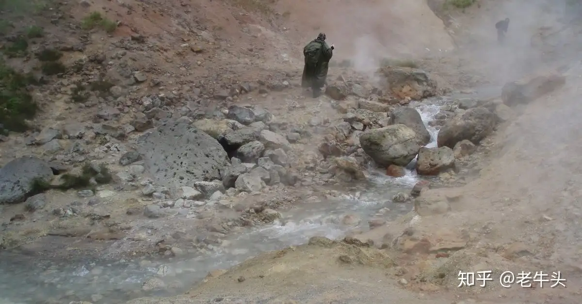 古生物新闻 年8月17日 8月30日 知乎