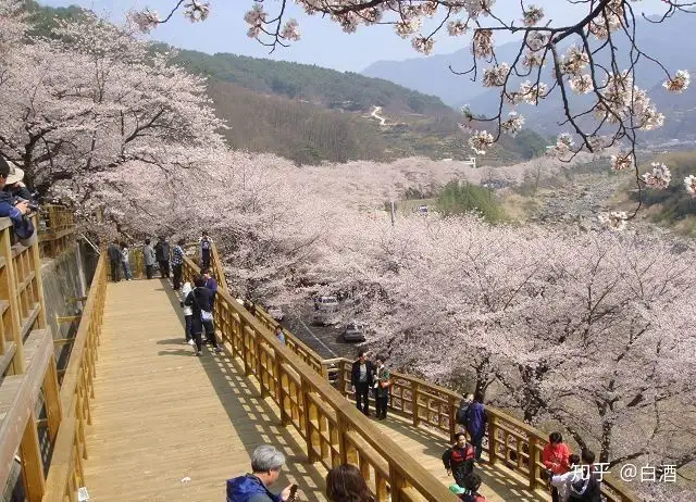 韩国旅游：倍受韩民族崇尚的灵山—智异山- 知乎