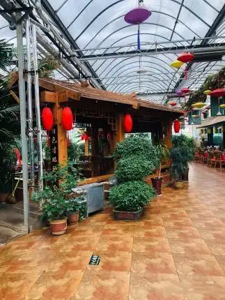 惊艳!山西霍州阳光绿洲生态园,湖心亭有意境