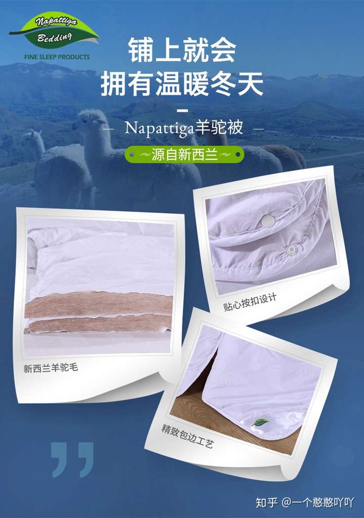 napattiga羊驼被无可替代的软黄金