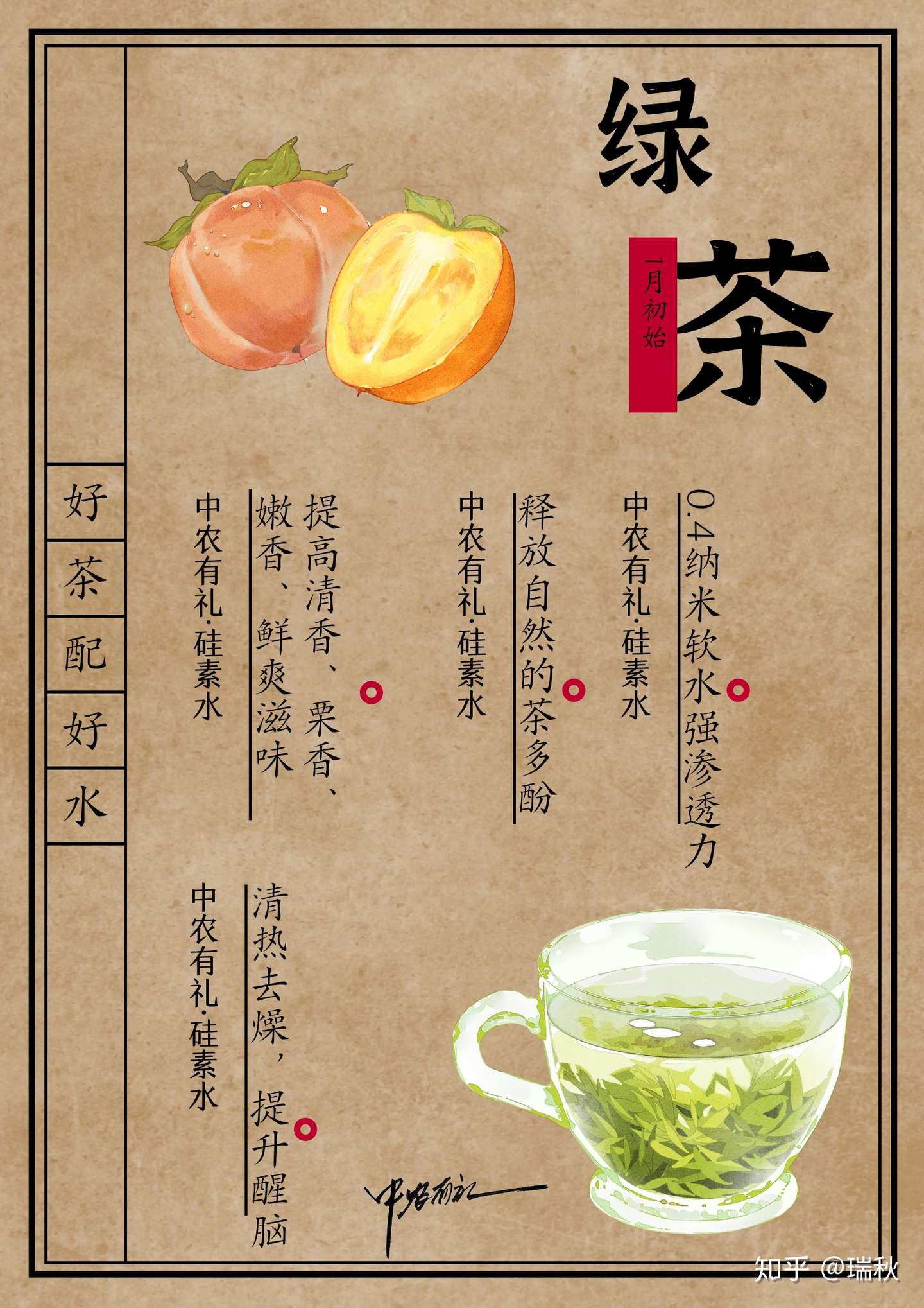 红茶 黑茶 白茶 青茶 绿茶 哪种茶最适合我 知乎