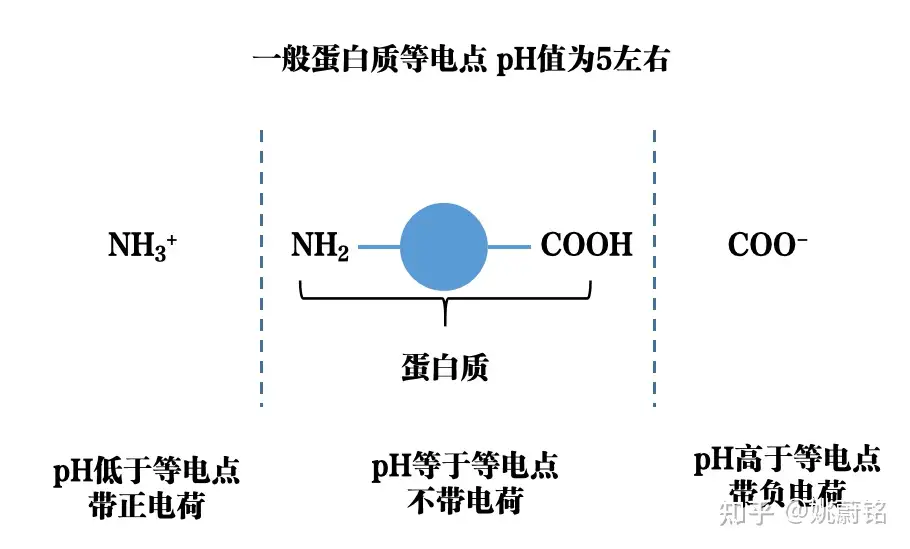 科普| 衣服“天然草木染色”更好？ 你可别被骗了！ - 知乎